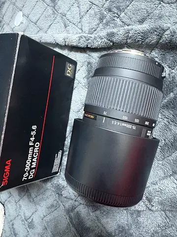 Sigma 70-300mm f/4-5.6 DC Macro Lens - Perfect for Wildlife Photography!