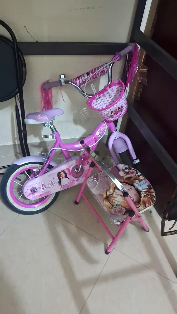 Charming Pink Bicycle for Your Little Princess!