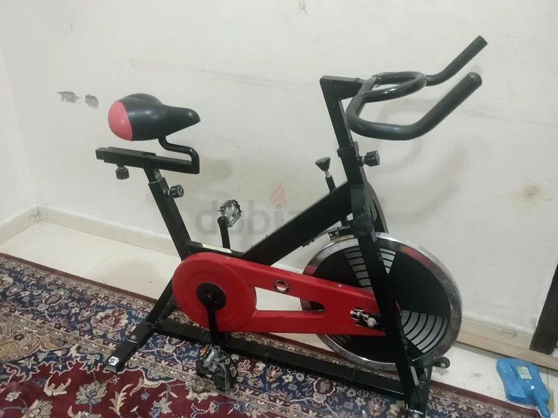Transform Your Fitness Routine with This Stylish Stationary Bike!63198150452993112