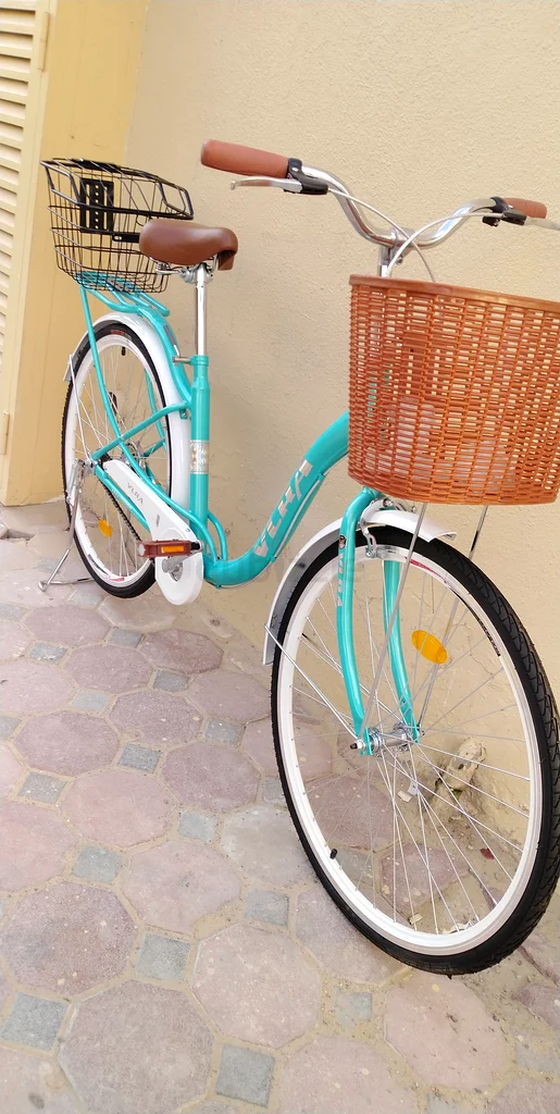 Cruiser bicycle Brand new high quality strong bike free delivery assembled63198632332675111
