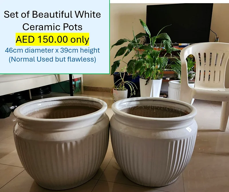 أواني الزهور63209847017730110