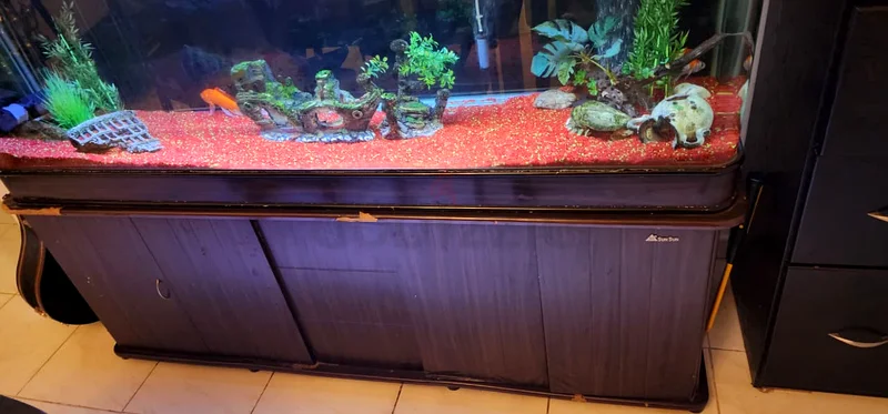 1.8 meter Stunning Aquarium for Sale - Perfect for Your Fishes!63205367297411112