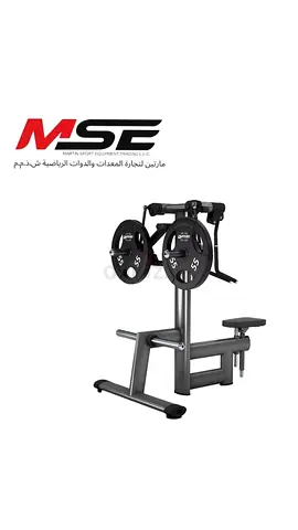 GYM80 Pure Kraft Shoulder Lateral Raise Dual Machine