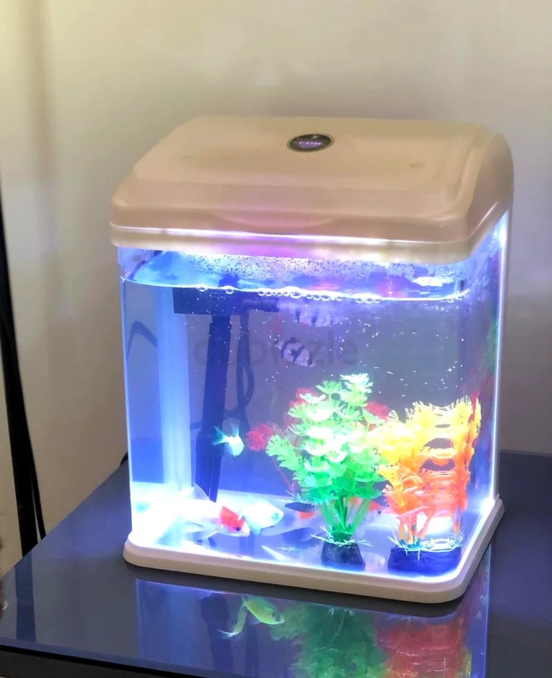 Vibrant Aquarium with Colorful Decor63205367289859112