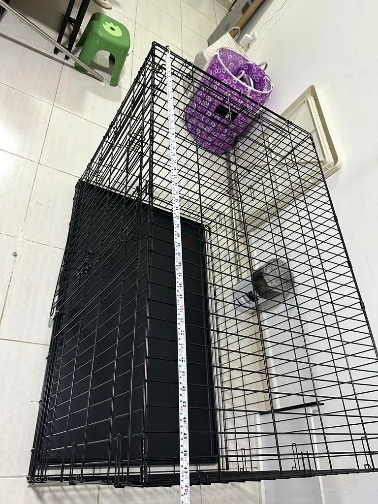 صندوق كلب63205365441921118
