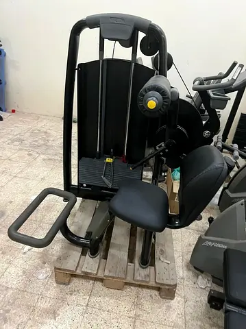 Technogym Lower Back Machine