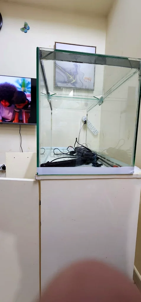 90x40x45cm Aquarium for Urgent Sale63205893632898112