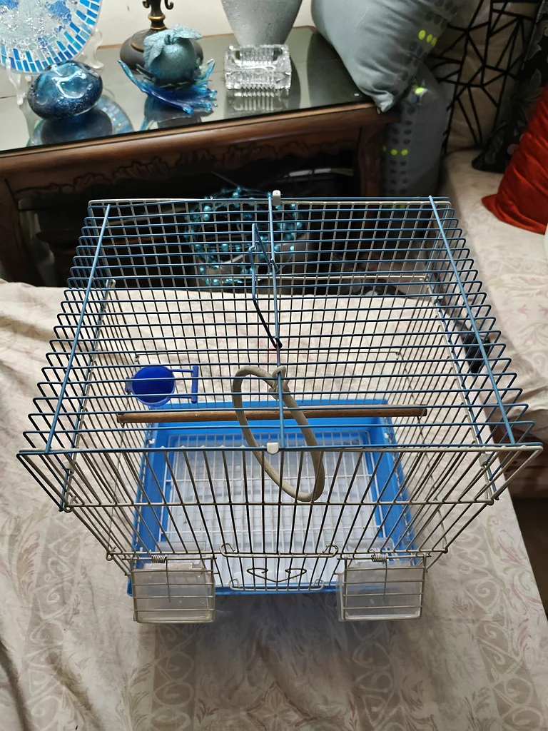 Bird cage63204294751874111