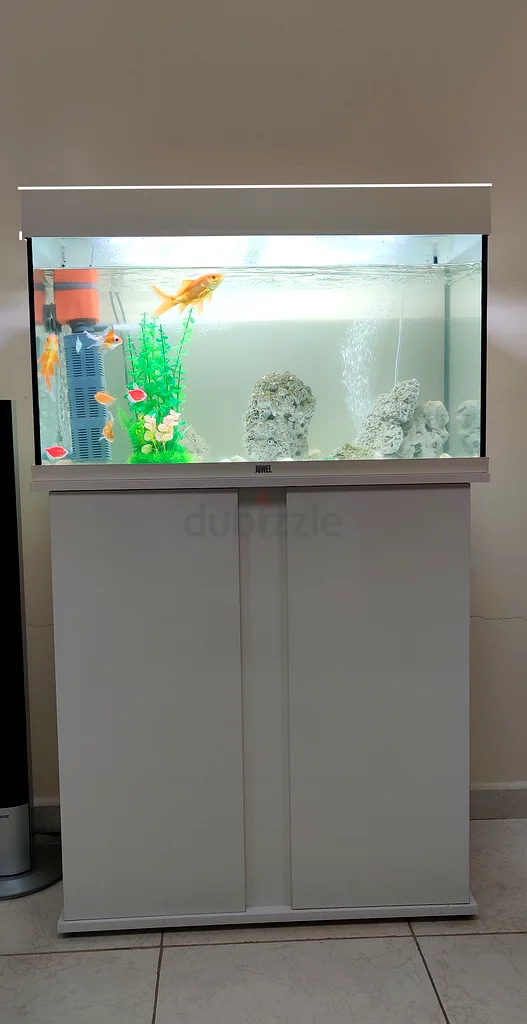 Beautiful Laxury Fish Tank with Cabinet (ORIGINAL JUWEL Germany) - RIO 125 White with fishes and ACC63205367249922111