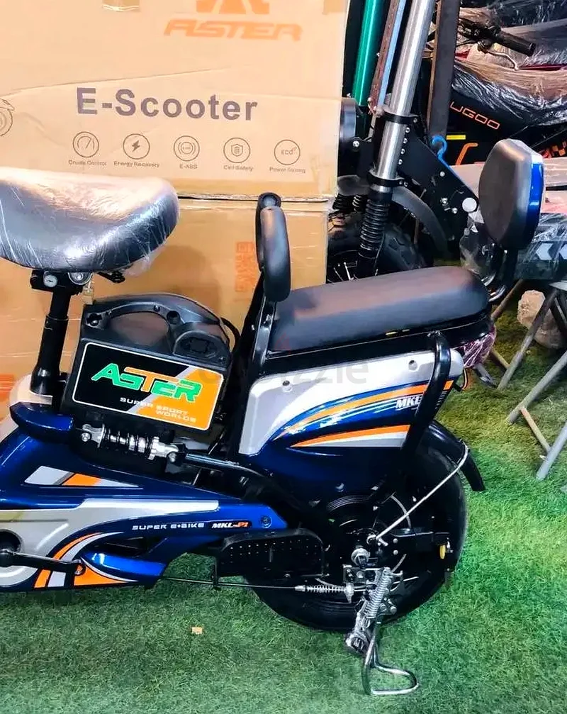 Brand New Aster Delivery Bike63198147260418113