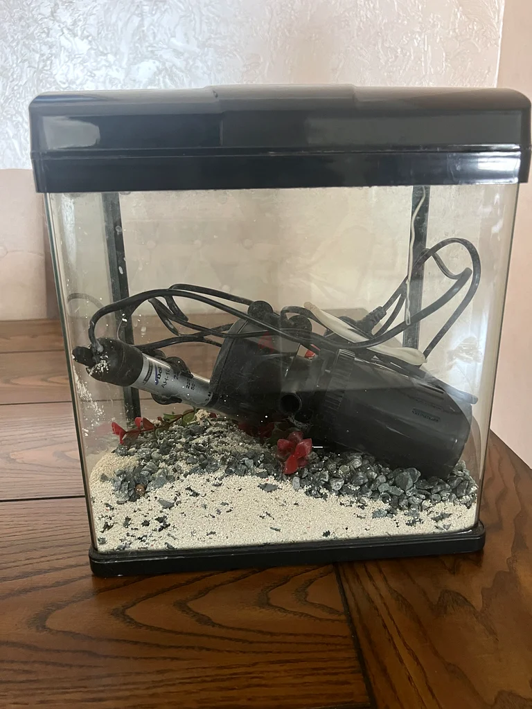 Fish Tank with Accessories63201692733825111