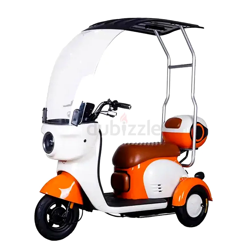 48 v electric Scooter with Rooftop63197147978626111
