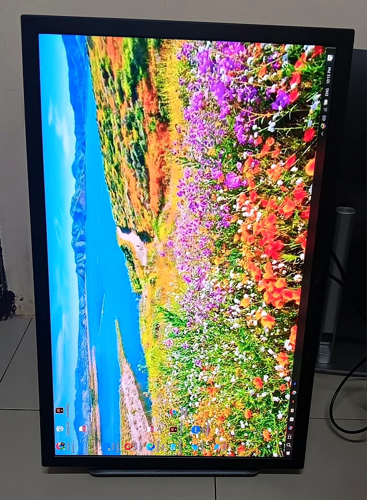 Dell UltraSharp 30inch IPS Monitor with PremierColor: UP3017 2560 x 1600 at 60 Hz monitor63195634793601111