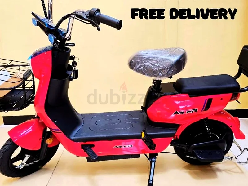 Wind Horse GROCERY Delivery 48 v  D2 Electric Scooter63197148062723113