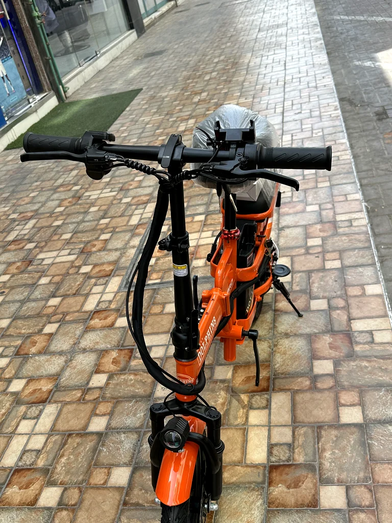 E bike for dolphin company with 6 months warranty63198146850946113