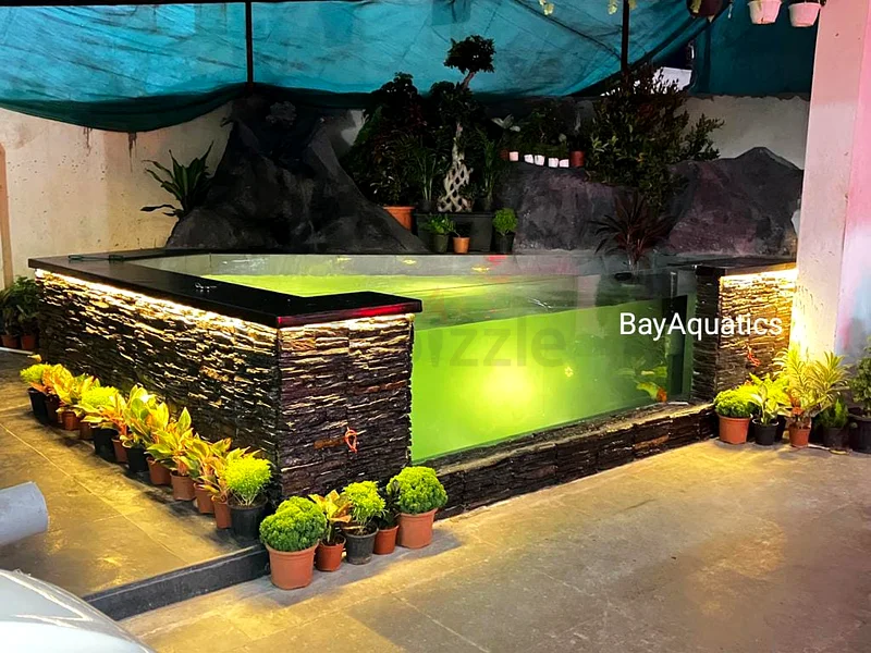 Marine Aquarium / Planted Aquarium63205893752705113