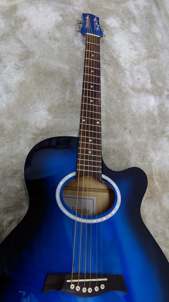 Karl Schneider Guitar63202685081090112