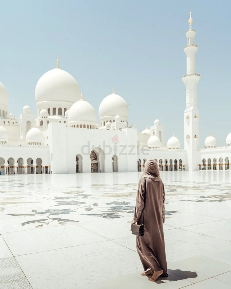 Abu Dhabi City Tour with Sheikh Zayed Grand Mosque with Experienced Guide63207408807171111