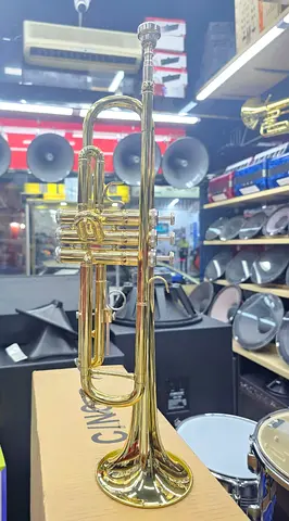 Brass Beauty: Like-New Trumpet with Accessories!