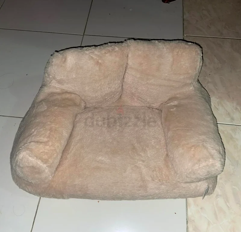 مستلزمات القطط / أشياء القطط63204294556546112