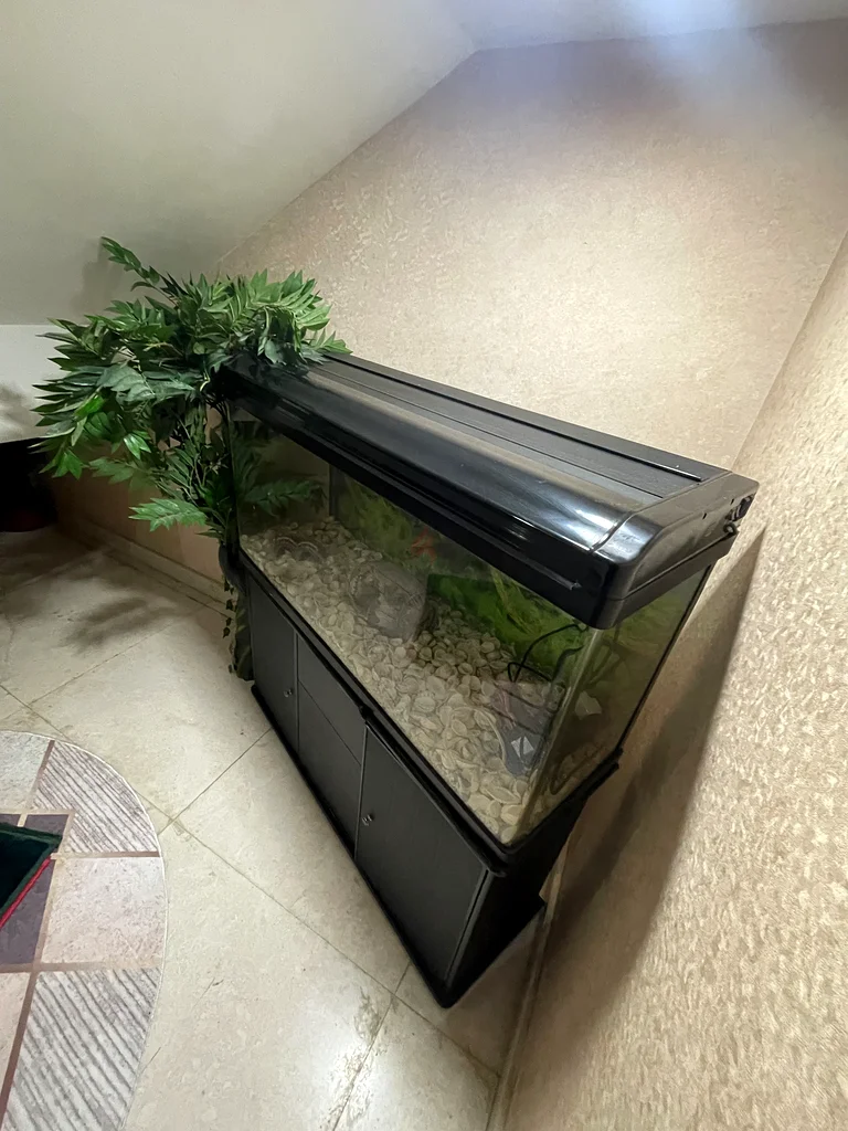 Stylish Aquarium with Elegant Stand for Sale63205893654659111