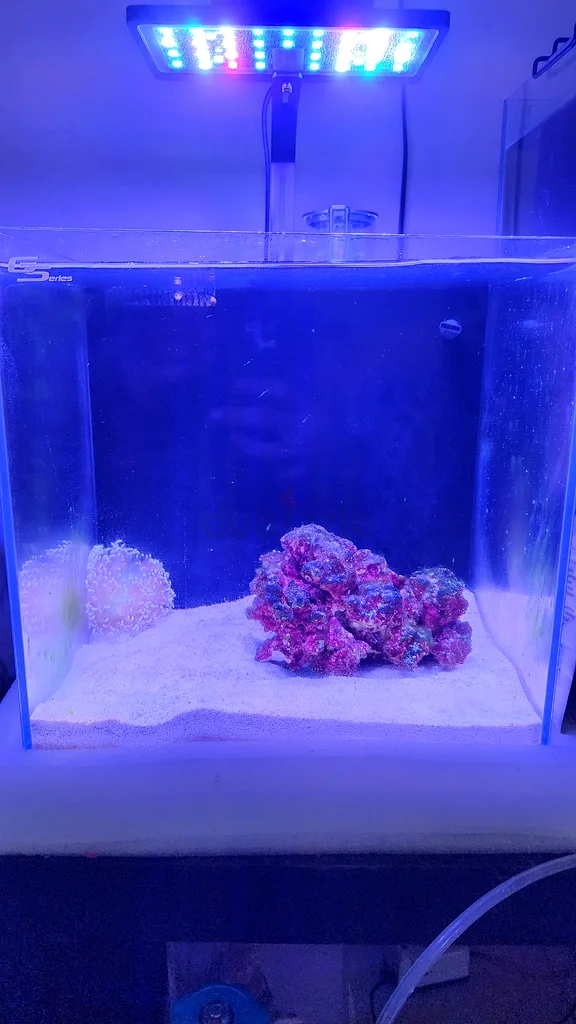 Salt water aquarium63205893667970111