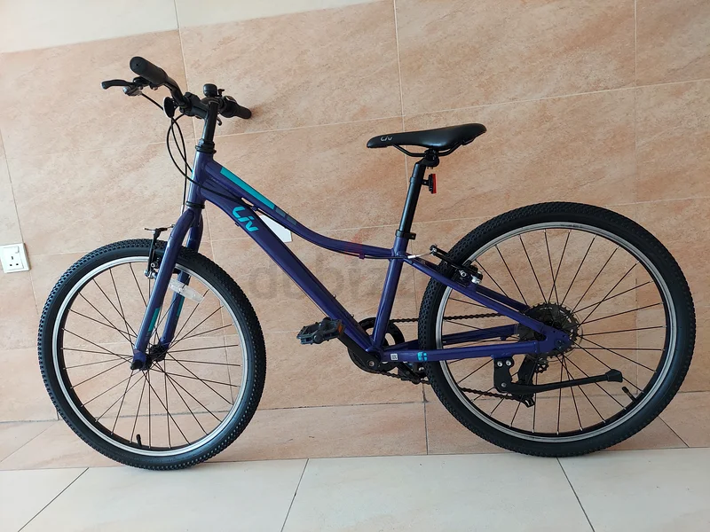 GIANT ENCHANT LIV 24INCHES BIKES 8 TO 12 YEARS63198147038083114