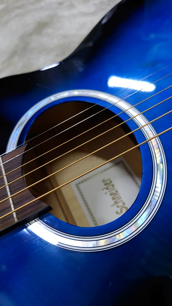 Karl Schneider Guitar63202685081090111