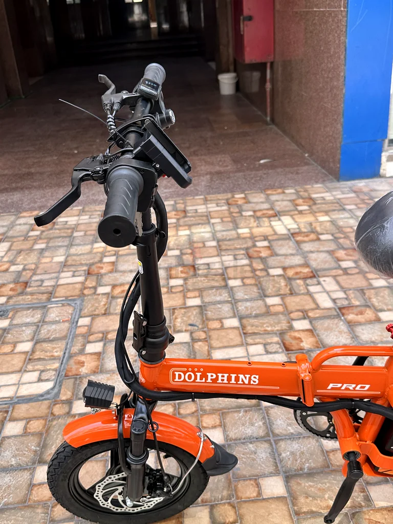 E bike for dolphin company with 6 months warranty63198146850946114