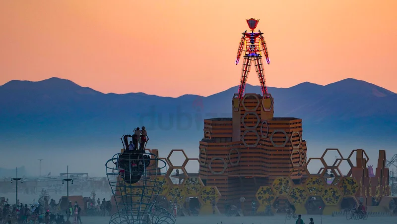 Burning Man ticket , Black Rock City USA63207408733570112