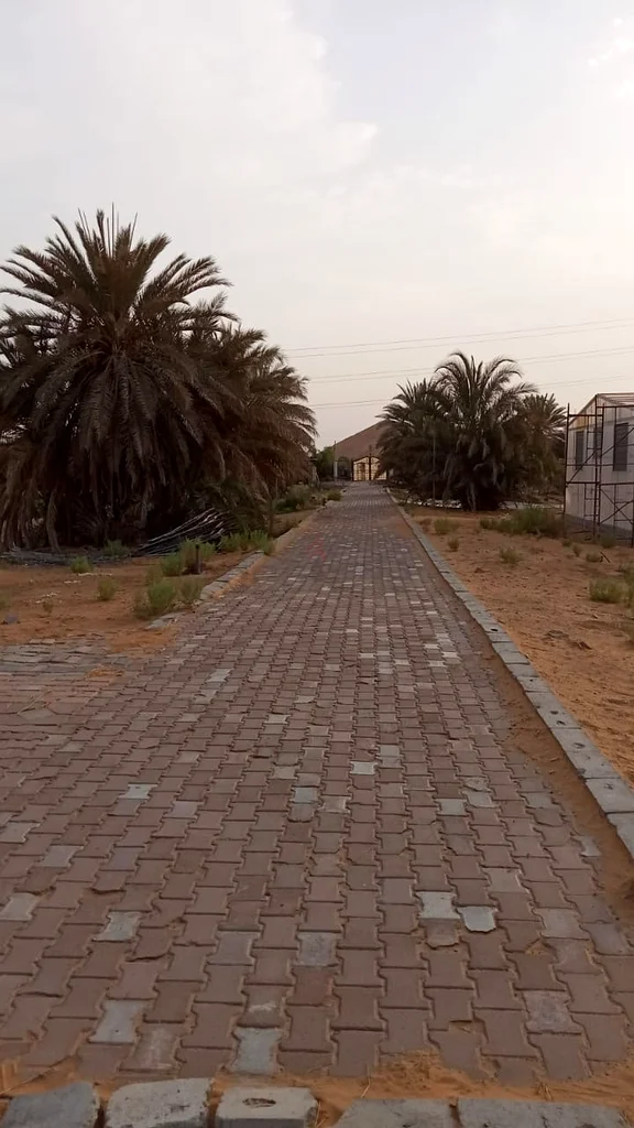 مزرعه في منطقة العراد للإيجار مدينه العين63219326428545111