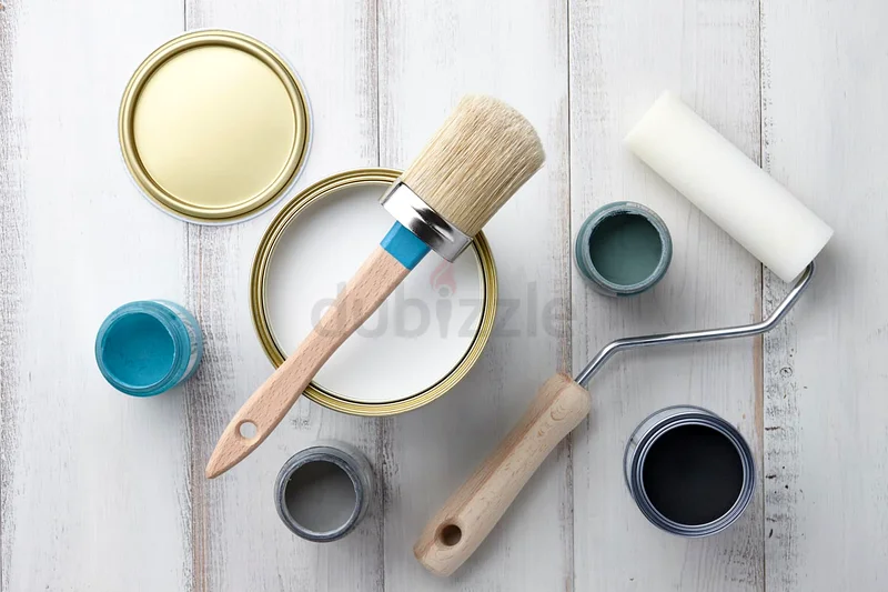 Painting 1Bed600/2Bed750aed with expert painter63216844547457112