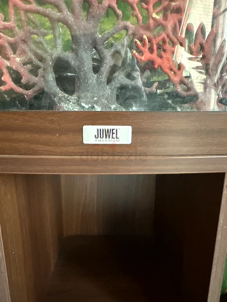 Stunning Jewel Aquarium with Stand and accessories for Sale!63205893711875112