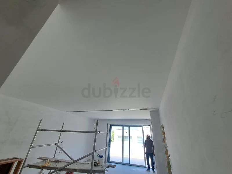 Painting work63217830903809113
