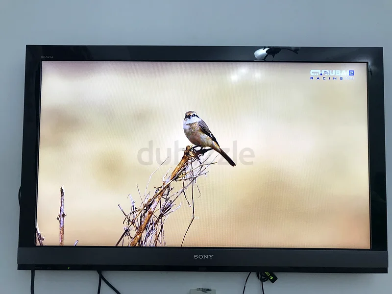 Sony LED TV and Receiver and 5G Router63194612866051113