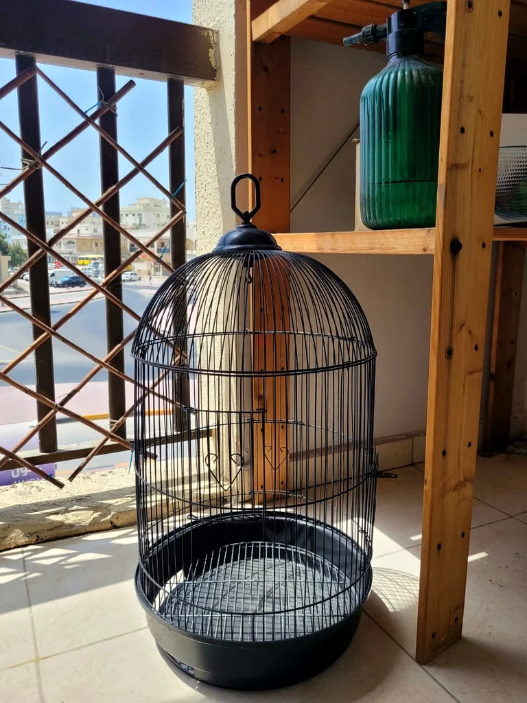 أعِدْ حبوبك إلى بيت جديد واسع!63205365474817111