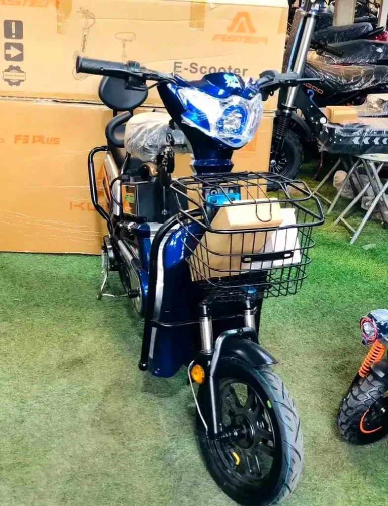 Brand New Aster Delivery Bike63198147260418114