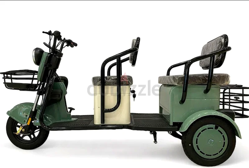 48V Long Distance Electric Tricycles63197148027523111