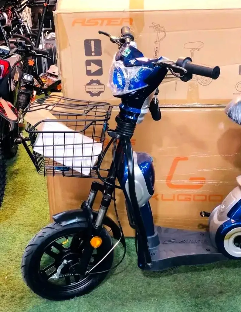 Brand New Aster Delivery Bike63198147260418111
