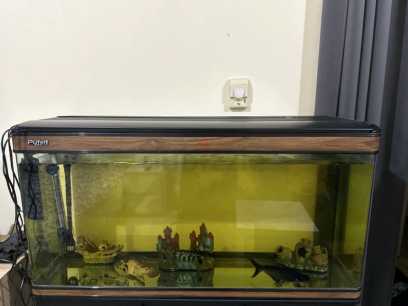 Aquarium63205893703810111
