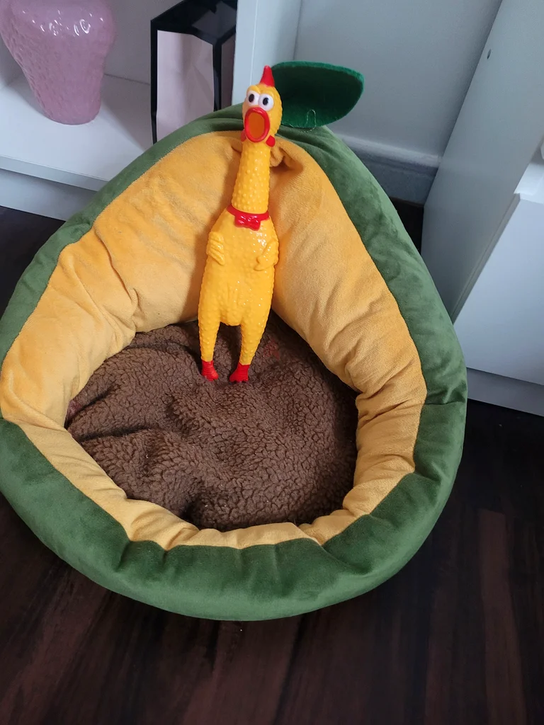 Comfortable Pet Bed for Ultimate Relaxation63205365487363113