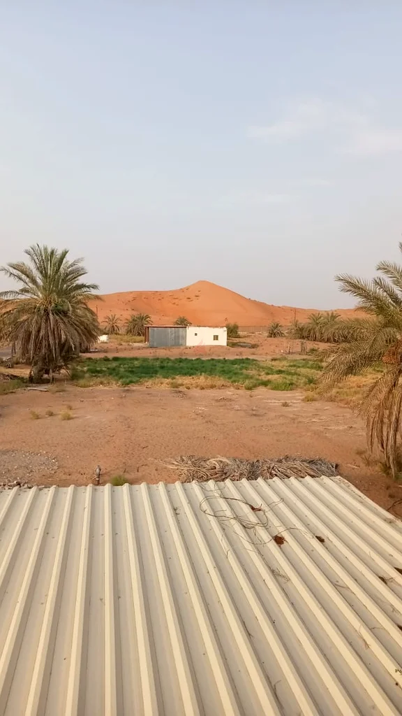 مزرعه في منطقة العراد للإيجار مدينه العين63219326428545113