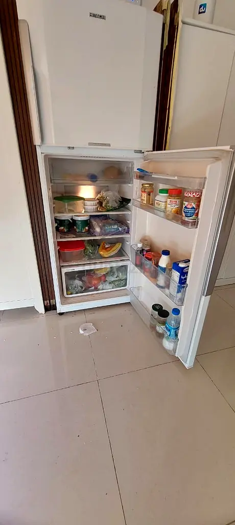 frige63201170746754112