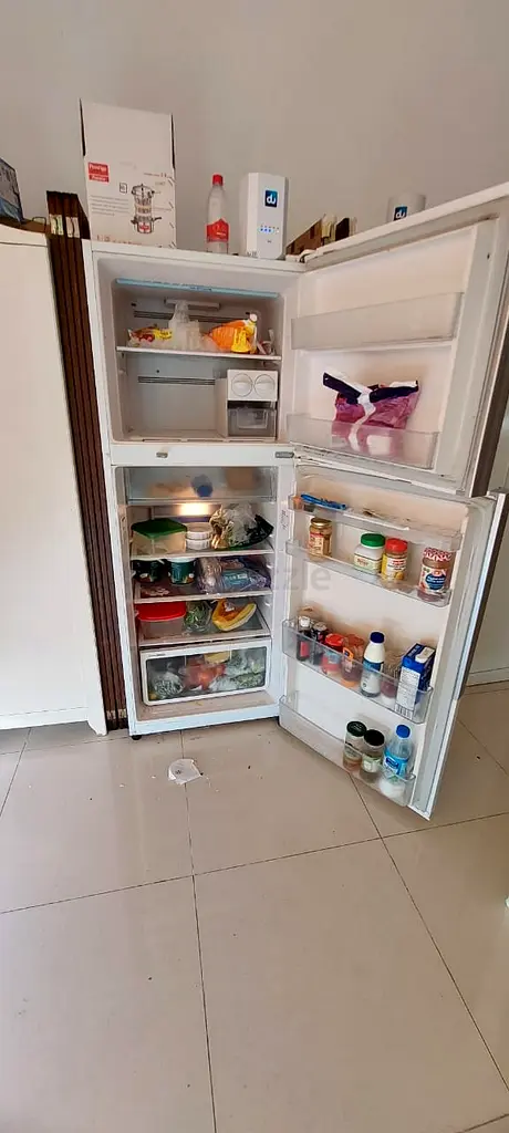 frige63201170746754111