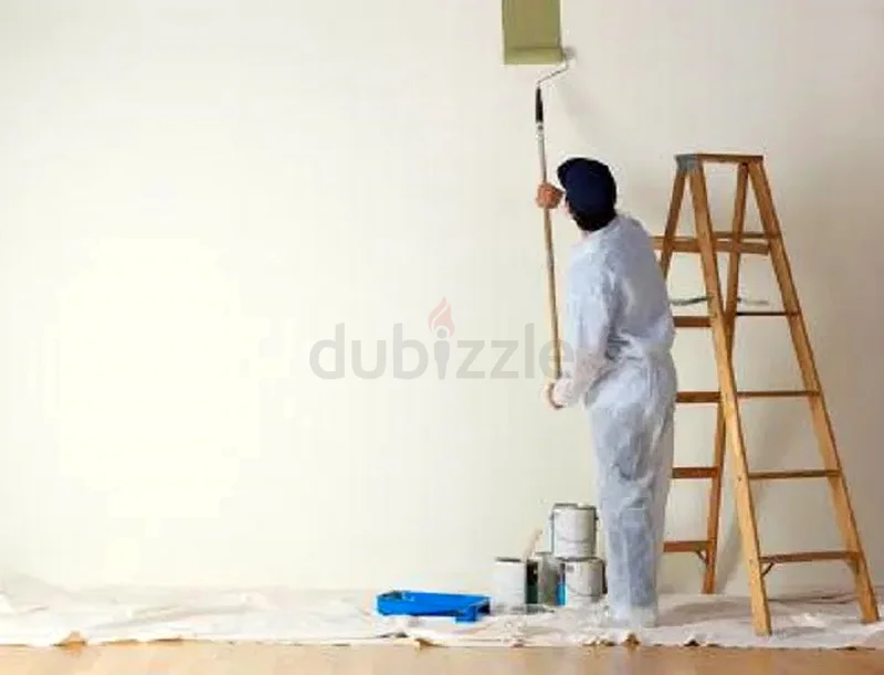 Painting 1Bed600/2Bed750aed with expert painter63216844547457111
