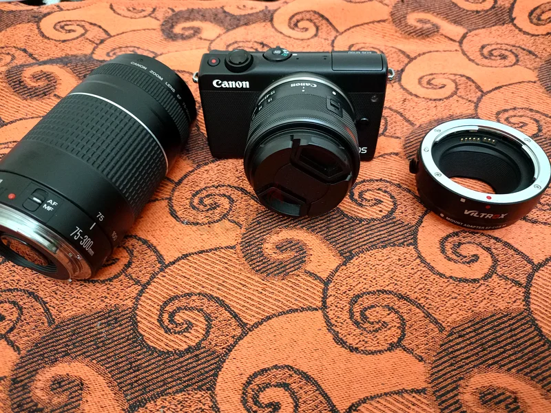 Canon EOS M10063201693785730112