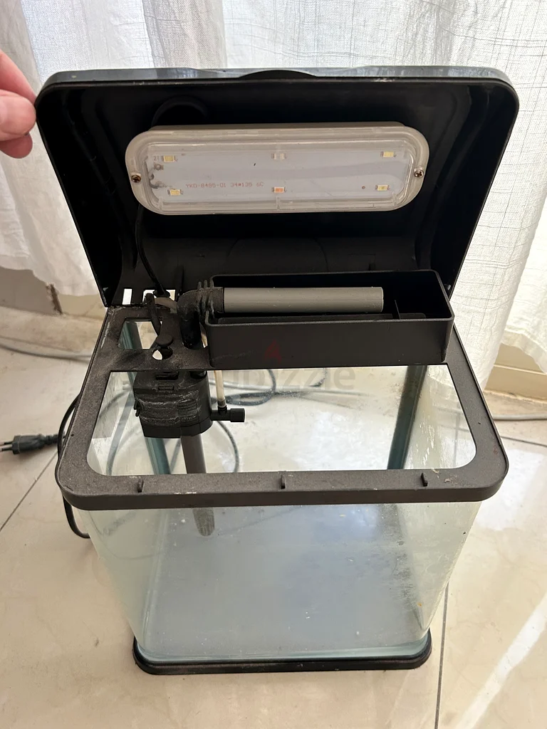Small Aquarium63205892751362112