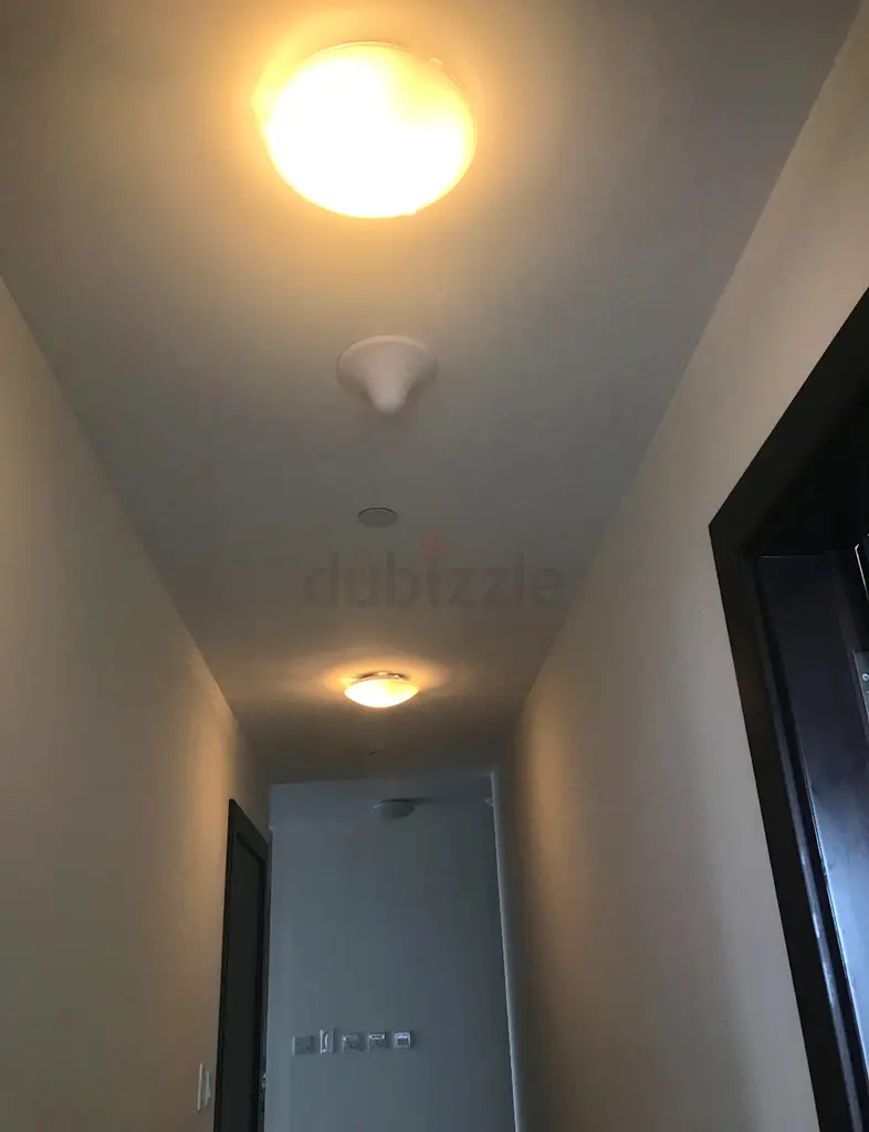 Ceiling lights