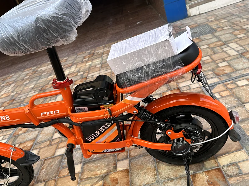 E bike for dolphin company with 6 months warranty63198146850946111