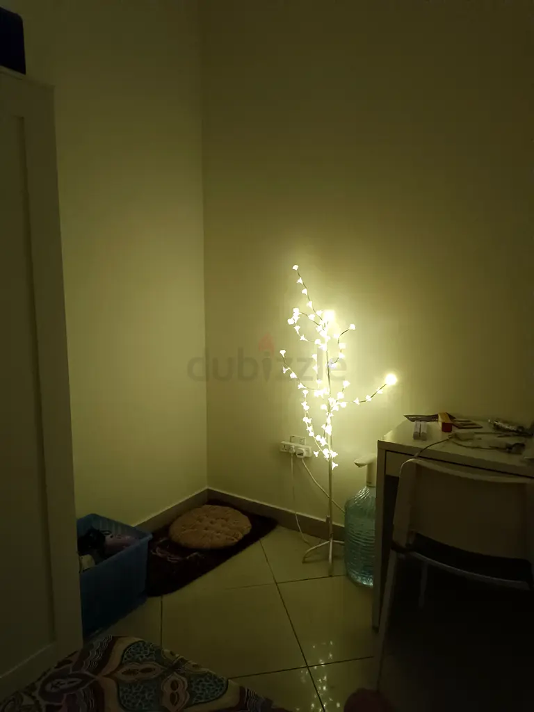 مصباح شجرة